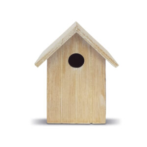 Nature et extérieur